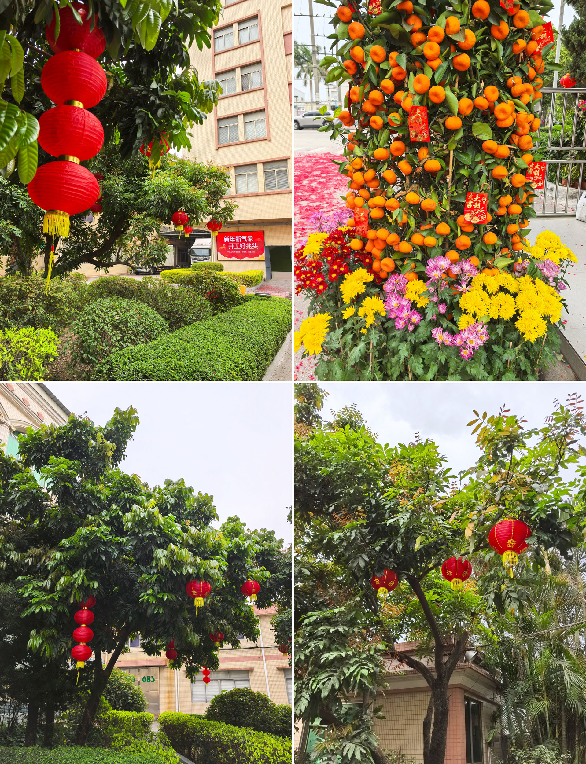 5-260225092343C3.jpg 5-260225092343C3.jpg